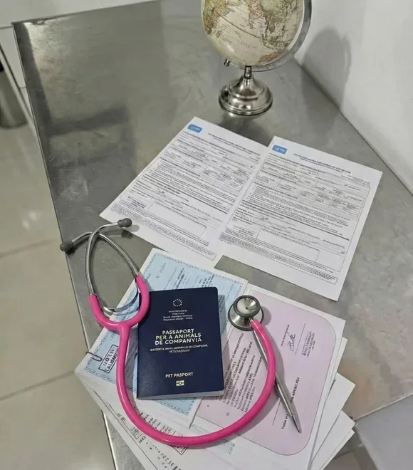 Documentación zoosanitaria completa para exportación internacional de mascotas desde Perú — pasaporte de mascota, certificados SENASA, estetoscopio y protocolo de titulación antirrábica FAVN. Zoovet Travel.